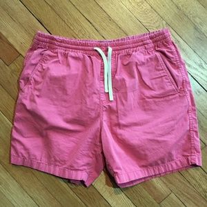 J. Crew New York Pink Shorts Drawstring Cotton L